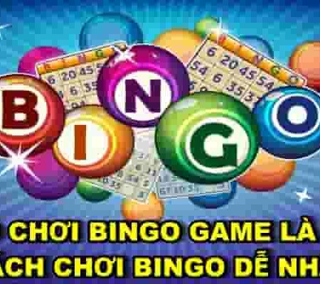 Bingo Game Là Gì ? CFUN68 Giải Đáp Thắc Mắc Cách Chơi Bingo Dễ Nhất