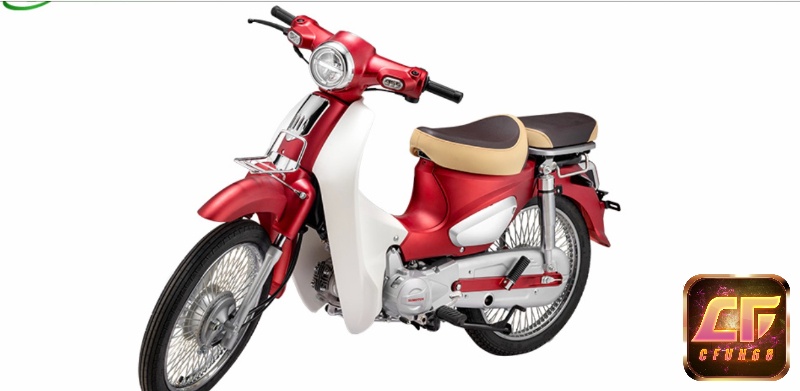 Xe cup 86 được nhiều người yêu thích