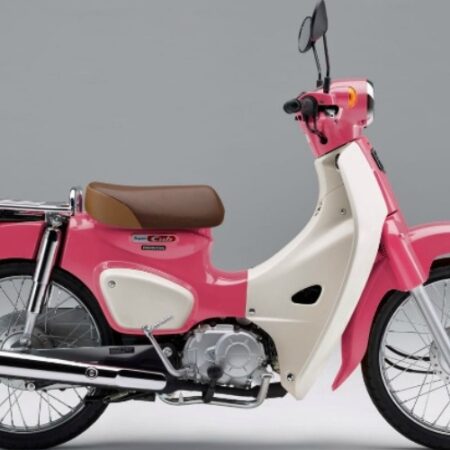 Cub hồng – 3 mẫu cub siêu nữ tính dành cho chị em