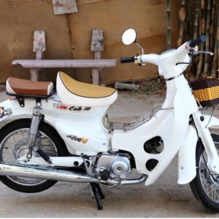 Xe Cub Mini thịnh hành nhất cùng top 3 địa chỉ bán xe uy tín