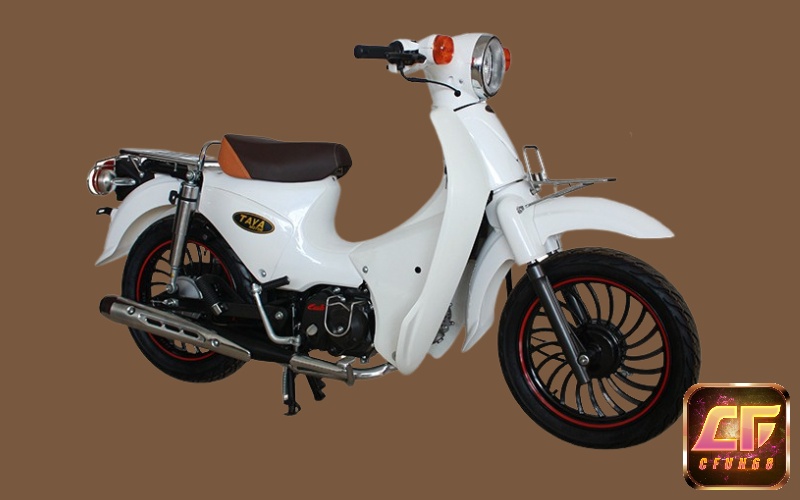 Mẫu Cub 81 TAYA Minion thích hợp với các bạn học sinh 