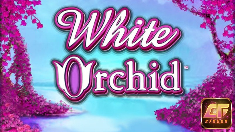 RTP White Orchild là 95,03%