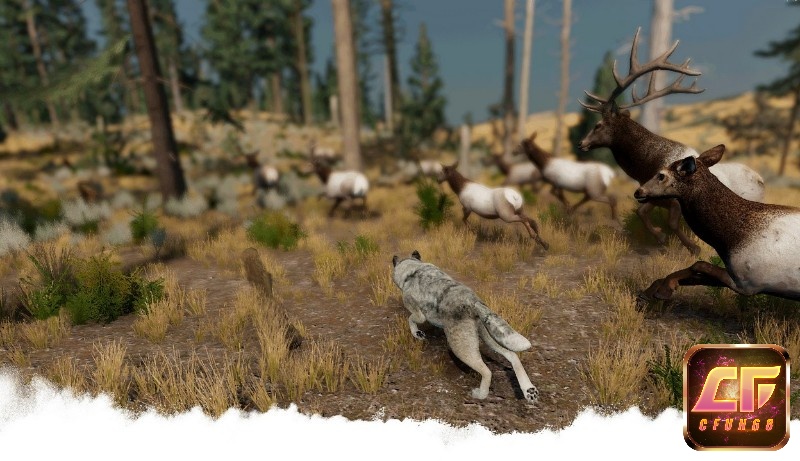 Hóa thân thành những con sói hoang dã và trải nghiệm sự sống trong thiên nhiên hoang dã cùng WolfQuest: Anniversary Edition